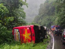 Hindari Kecelakan, Satu Unit Bus Rebah Kuda di Kawasan Lembah Anai