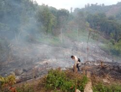Sudah Melanda 4 Kabupaten di Sumbar, Waspadai Perluasan Kebakaran Hutan dan Lahan di Musim Kemarau