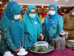 Ketua Kelompok Dasawisma Mawar IV Desa Kajai Dinilai Tim Provinsi