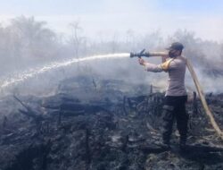 Lima Titik Api Terdeteksi di Pesisir Selatan