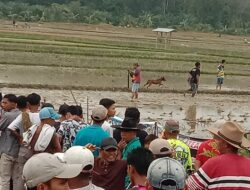 Kegiatan Buru Babi Ikut Tingkatkan UMKM