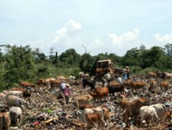 Tempuh Jarak 88 KM, Sampah Bukittinggi Dikirim ke TPA Air Dingin Padang