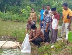 Suhatri Bur Tebar Ribuan Bibit Ikan Mas di Tobog Ketek