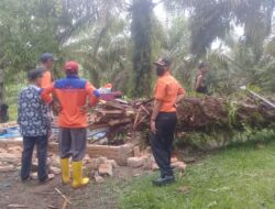 Ditimpa Pohon Tumbang, Rumah Dismen Rusah Berat