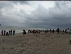 Awas, Buaya Berkeliaran di Pantai Tiku!