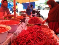 Naik Tipis Harga Cabai Merah di Agam