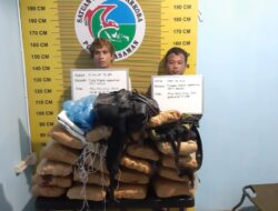 Operasi Antik Singgalang, Polres Pasaman Gagalkan Peredaran 20 Kilogram Ganja