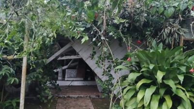 Ditimpa Pohon, Komplek Makam Tuanku Nan Renceh Ambruk