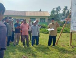 Lestarikan Budaya Minangkabau, Nasrul Abit Bangun Rumah Gadang Malintang Panai