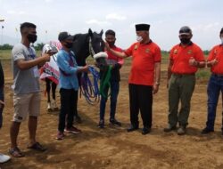 Pacu Kuda Hidup Kembali, Walikota Padang: Kuda tak Lagi Sekadar Penarik Bendi