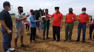 Pacu Kuda Hidup Kembali, Walikota Padang: Kuda tak Lagi Sekadar Penarik Bendi