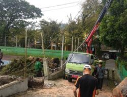 Akibat Angin Kencang, Pohon Tumbang di Padang Panjang pada 7 Titik