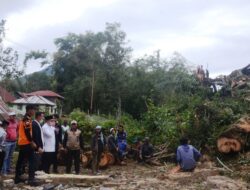 Pohon Berusia Ratusan Tahun Timpa Rumah Warga