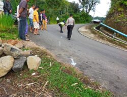 Rem Tidak Berfungsi, Bus Terjun Bebas ke Sawah, Dua Orang Meninggal