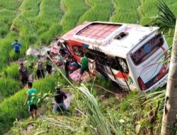 Kecelakaan Bus Menewaskan Tiga Penumpang, Supir Ditahan Polisi