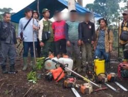 Tim Gabungan TNKS Tangkap  Perambah Hutan di Solok Selatan