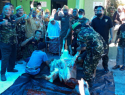 Bantu Anggota, Veteran dan Masyarakat, PPM Sumbar Sembelih Dua Sapi Kurban