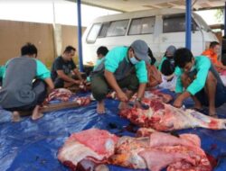 Jangan Berlebihan, Konsumsi Daging Sapi Cukup 65 Gram Sehari