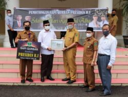 Daging Sapi Kurban dari Jokowi, Diantarkan Langsung pada Warga