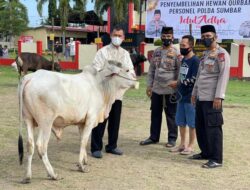 Idul Adha Tahun Ini, PWI Sumbar Sembelih 6 Ekor Sapi Kurban