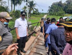 Wabub Tinjau Jembatan yang Rusak di Pasaman