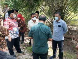 Bupati dan Rektor UNP Tandatangani Naskah Kerjasama Pembangunan Kampus UNP di Pasaman