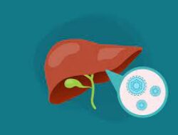 Yakinkah Anda Terbebas dari Hepatitis?