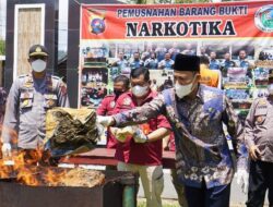 Polres Pasaman Musnahkan 18 Paket Besar Ganja