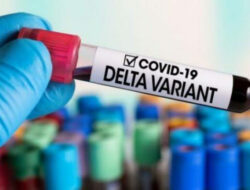 Selama Agustus 2021, Kasus Covid-19 di Sumbar Semuanya Virus Varian Delta
