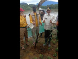 Wabup Pasaman Barat Lakukan Penanaman Perdana Bambu Penahan Tebing