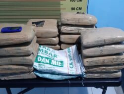 Bawa 19 Paket Besar Ganja Siap Edar, Warga Koto Nan Gadang Diamankan Polres Pasaman