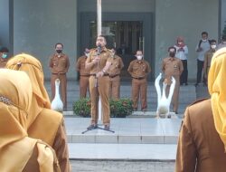 Audy Joinaldy Ajak Masyarakat Sumbar Makan Telur Ayam