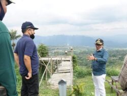 Puncak Rajo Sago Tanjung Bonai Miliki Potensi untuk Dikembangkan