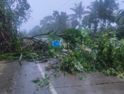 Longsor di Jalan Padang-Solok  Hingga Banjir di Sejumlah Titik