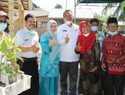 Masyarakat Desa Tanjung Saba Dapat Hibah Bibit Pertanian