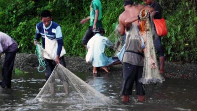 Ikan Larangan, Kearifan Lokal Untuk Ekonomi Biru Indonesia