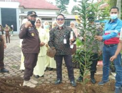 Peringati Hari Pahlawan, Kejari Solsel Tanam Seribu Pohon