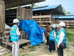 Bisnis Peternakan Ayam Jon Eddi Puji Layanan Cepat PLN