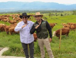 Wamentan : BPTU Padang Mangateh Solusi Defisit Sapi Indonesia