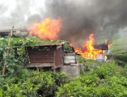 Lima Rumah Karyawan Perkebunan Teh di Solok Selatan Hangus