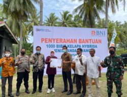 1000 Bibit Kelapa dari BNI untuk Masyarakat Pesisir Selatan