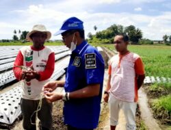 HM. Nurnas Kembali Bantu Comben AW70C Untuk Keltan Lubuk Munti Jaya