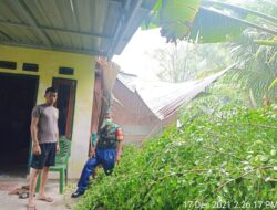 Rumah Warga Sicincin Rusak Ditimpa Pohon Tumbang