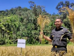 Hadiri Panen Raya, Begini Arahan Wagub untuk Petani