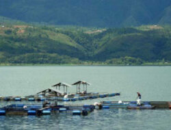 KPK Dorong Pemulihan Danau Singkarak sebagai Kekayaan Negara