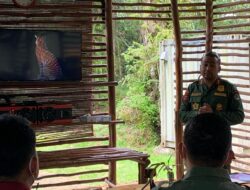 Lima Harimau Jalani Rehabilitasi di Pusat Konservasi
