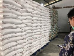 RESI GUDANG TUMBUH 48 PERSEN: Gabah, Timah dan Ayam Karkas Beku  Paling Banyak Diregistrasi