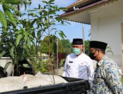 Gubernur Sumbar Apresiasi Program Sejuta Bibit Buah