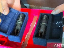 Warga Banuhampu Temukan Sepasang Jenglot di Lubang Pocong