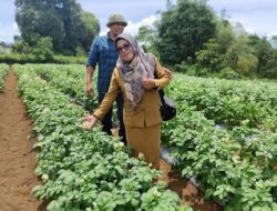 Koordinator BPP Gobah Tilatang Kamang Agam Dorong Kelompok Tani